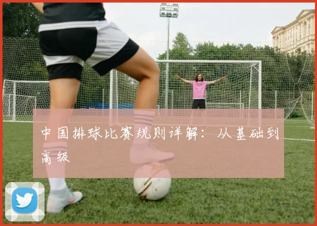 中国排球比赛规则详解:从基础到高级